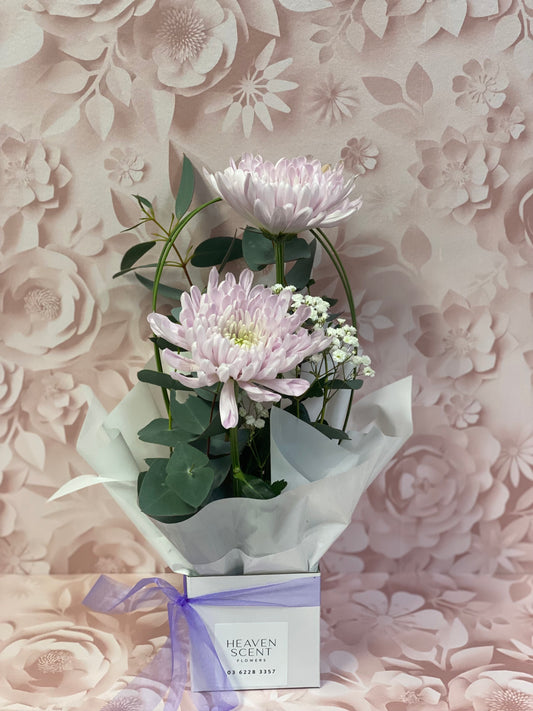 Florist Choice Miniature Box Arrangement