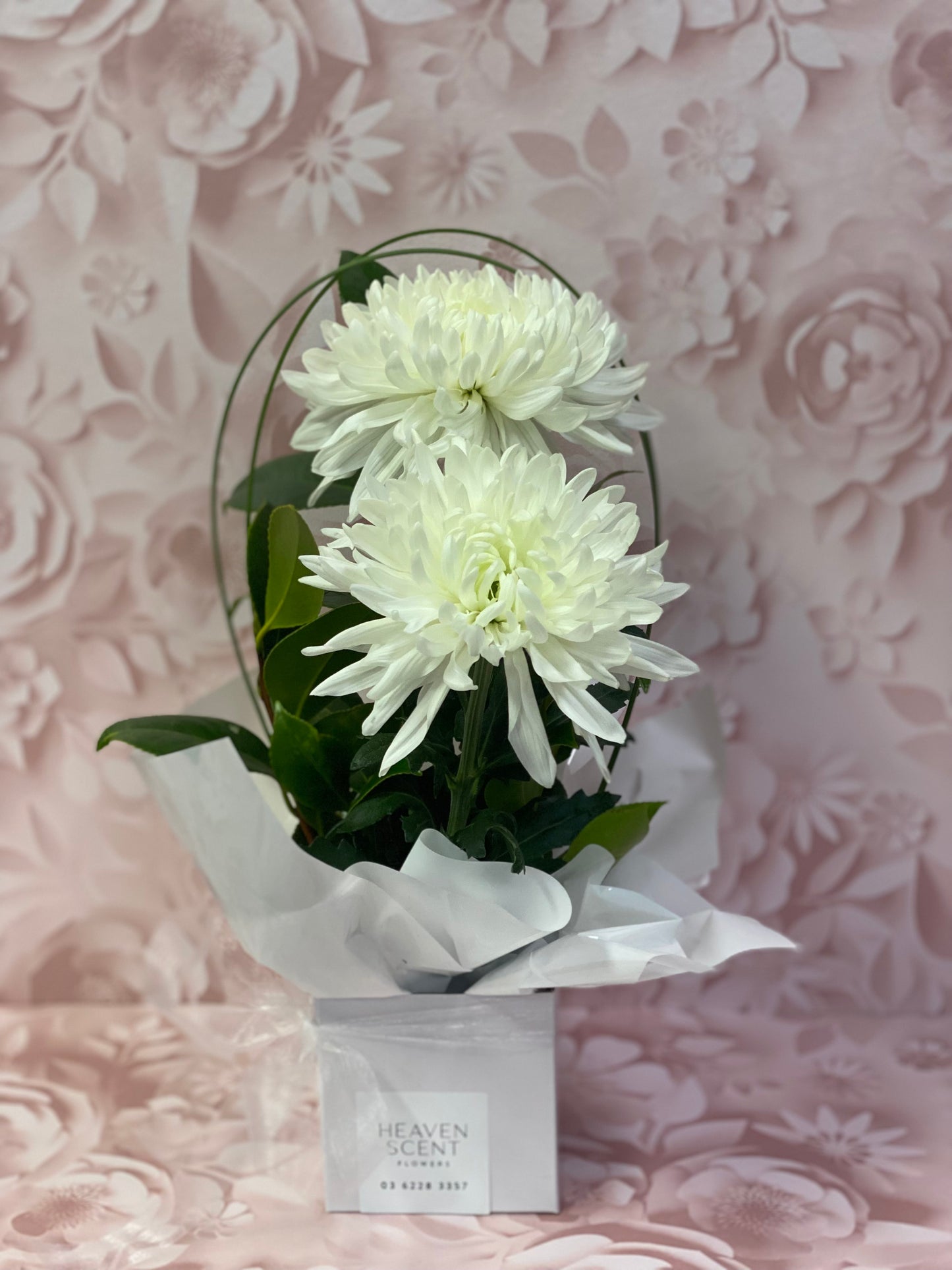 Florist Choice Miniature Box Arrangement