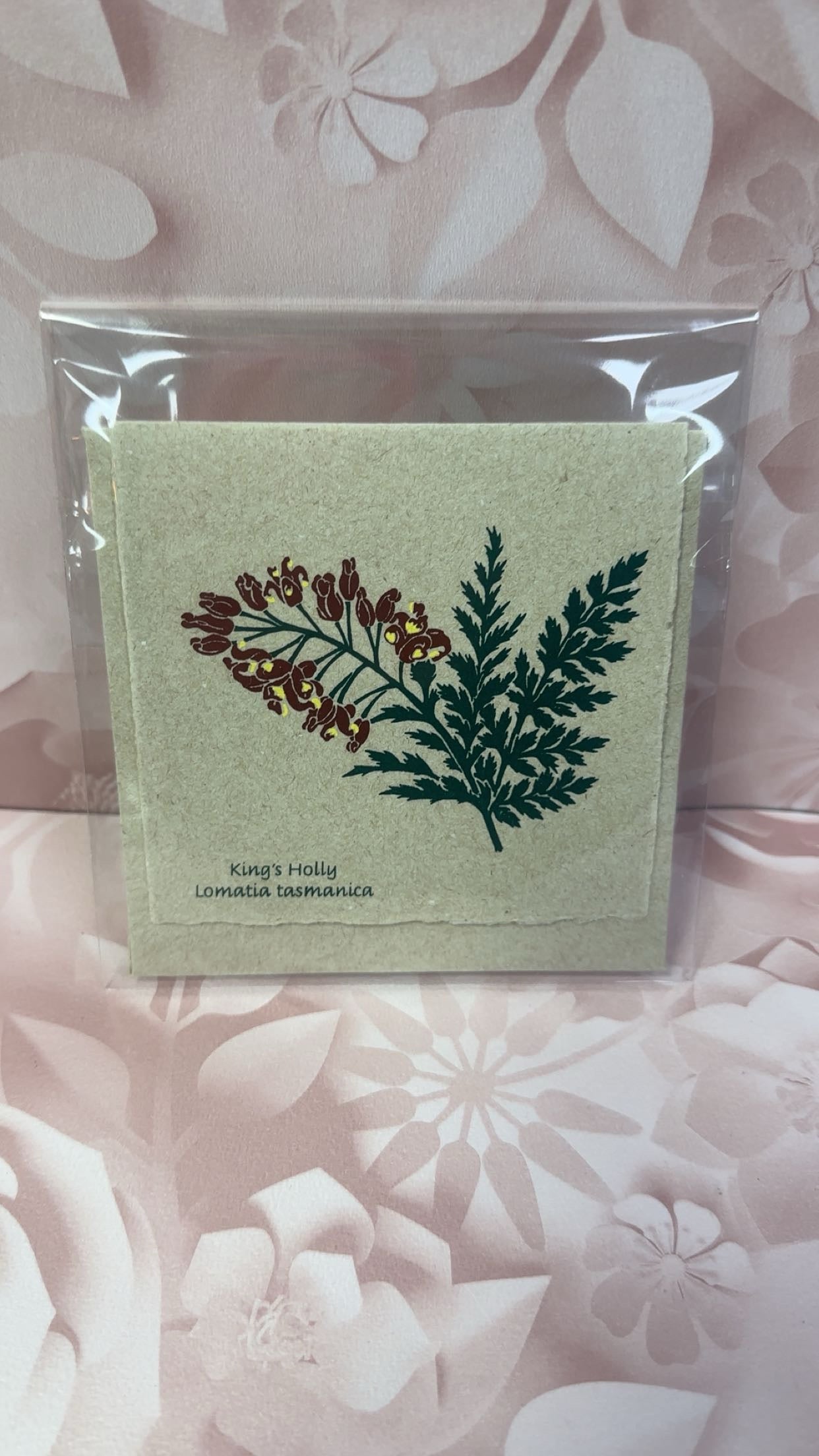 Plane Tree Cards