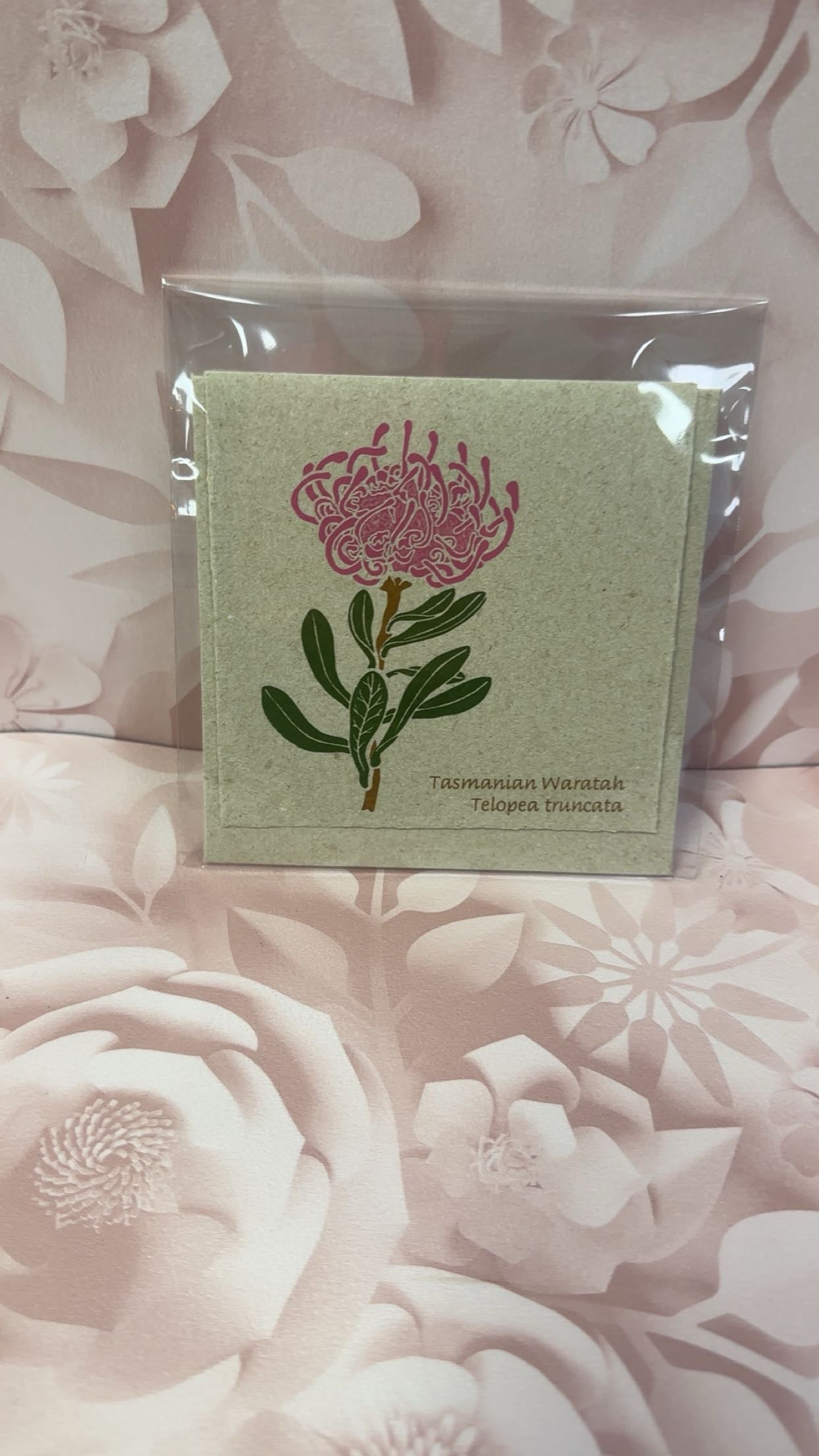 Plane Tree Cards
