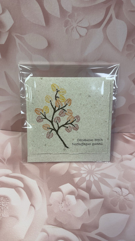 Plane Tree Cards