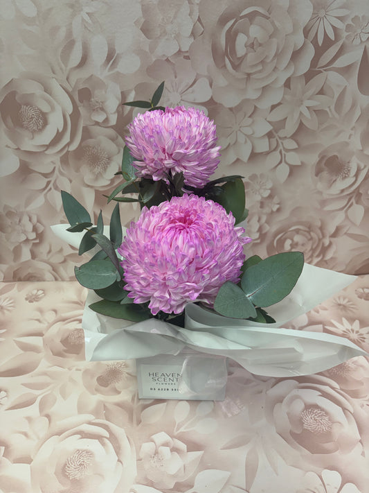 Florist Choice Miniature Box Arrangement