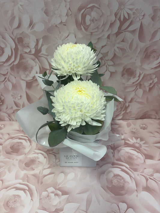 Florist Choice Miniature Box Arrangement